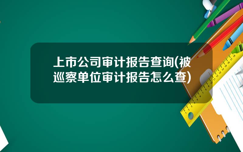 上市公司审计报告查询(被巡察单位审计报告怎么查)