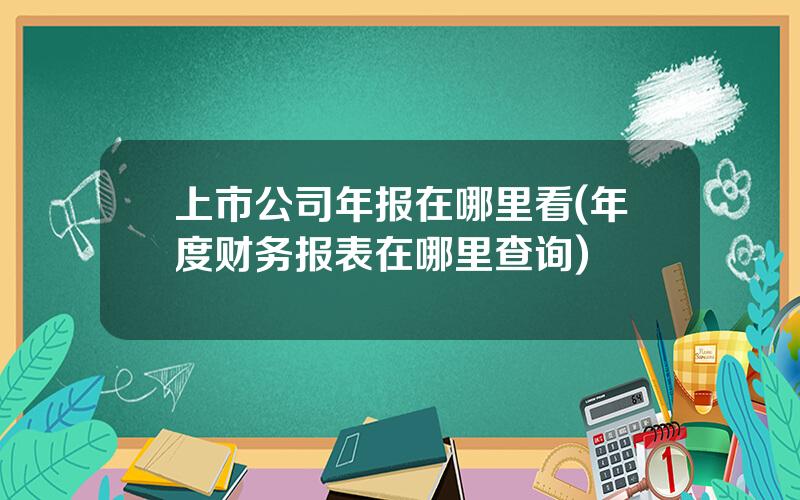 上市公司年报在哪里看(年度财务报表在哪里查询)