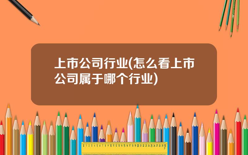 上市公司行业(怎么看上市公司属于哪个行业)