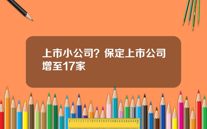 上市小公司？保定上市公司增至17家