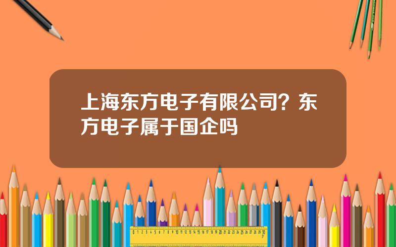 上海东方电子有限公司？东方电子属于国企吗