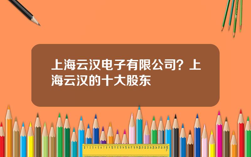 上海云汉电子有限公司？上海云汉的十大股东