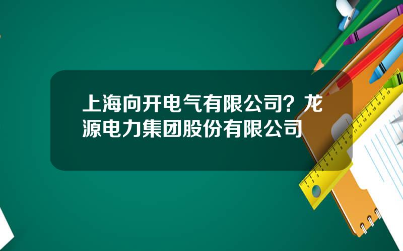 上海向开电气有限公司？龙源电力集团股份有限公司