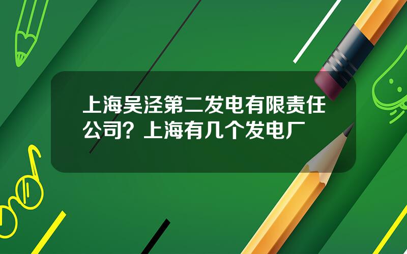 上海吴泾第二发电有限责任公司？上海有几个发电厂