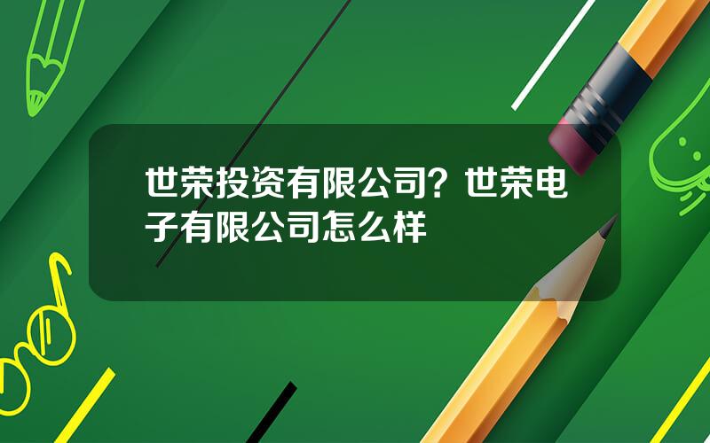 世荣投资有限公司？世荣电子有限公司怎么样