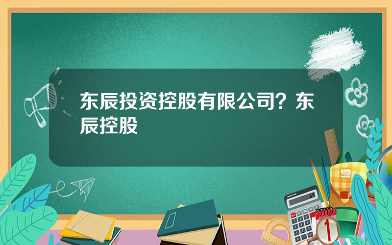 东辰投资控股有限公司？东辰控股