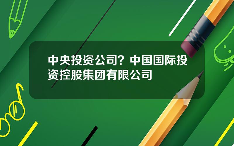 中央投资公司？中国国际投资控股集团有限公司