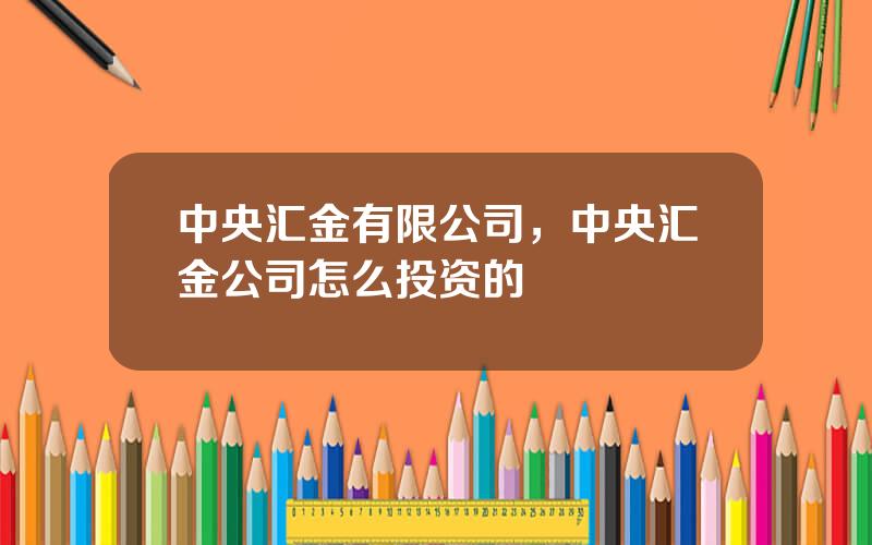 中央汇金有限公司，中央汇金公司怎么投资的