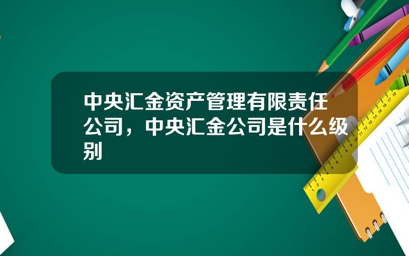 中央汇金资产管理有限责任公司，中央汇金公司是什么级别