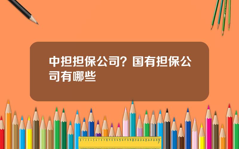 中担担保公司？国有担保公司有哪些