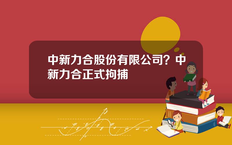 中新力合股份有限公司？中新力合正式拘捕