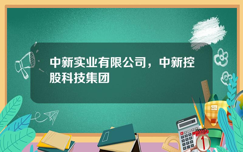 中新实业有限公司，中新控股科技集团