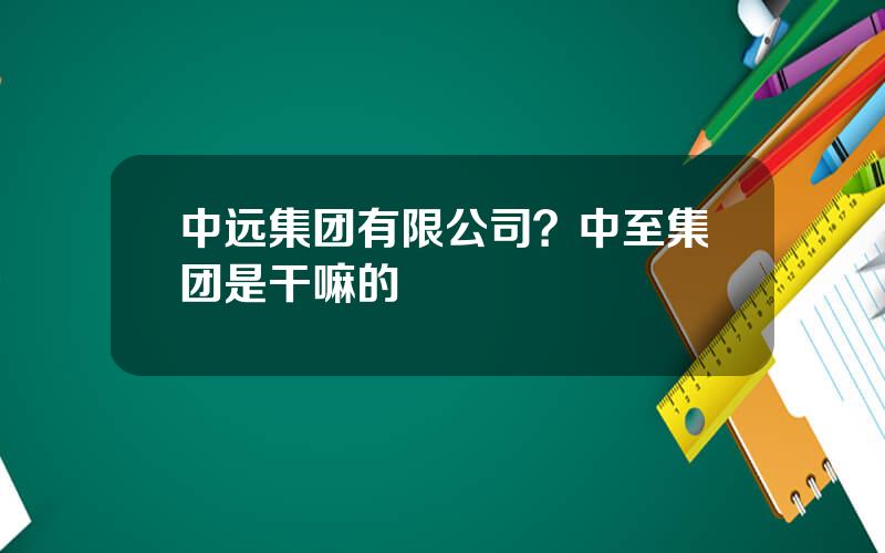 中远集团有限公司？中至集团是干嘛的