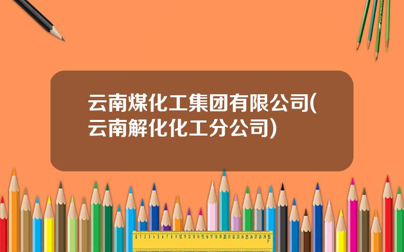 云南煤化工集团有限公司(云南解化化工分公司)