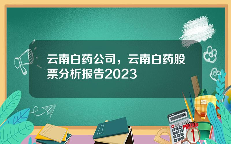 云南白药公司，云南白药股票分析报告2023