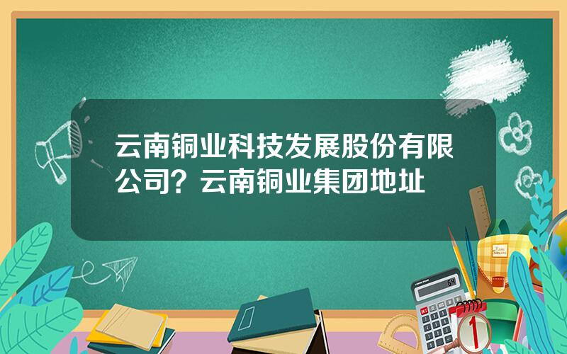 云南铜业科技发展股份有限公司？云南铜业集团地址