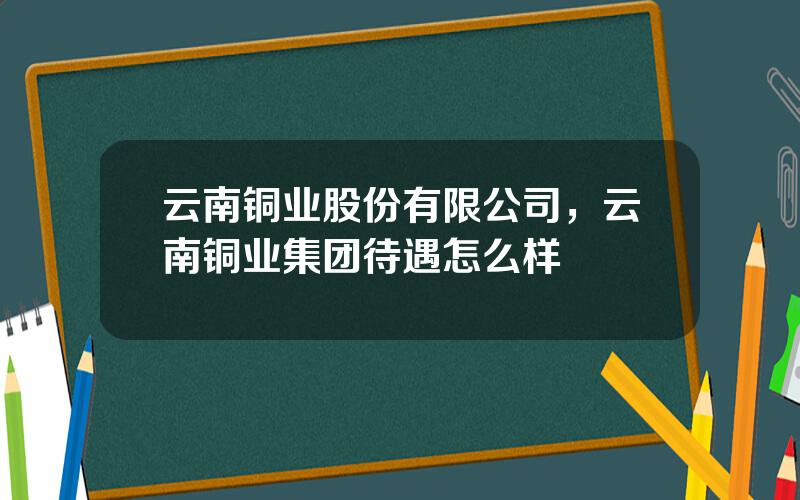 云南铜业股份有限公司，云南铜业集团待遇怎么样