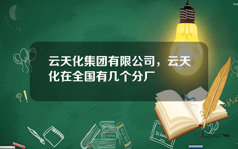 云天化集团有限公司，云天化在全国有几个分厂