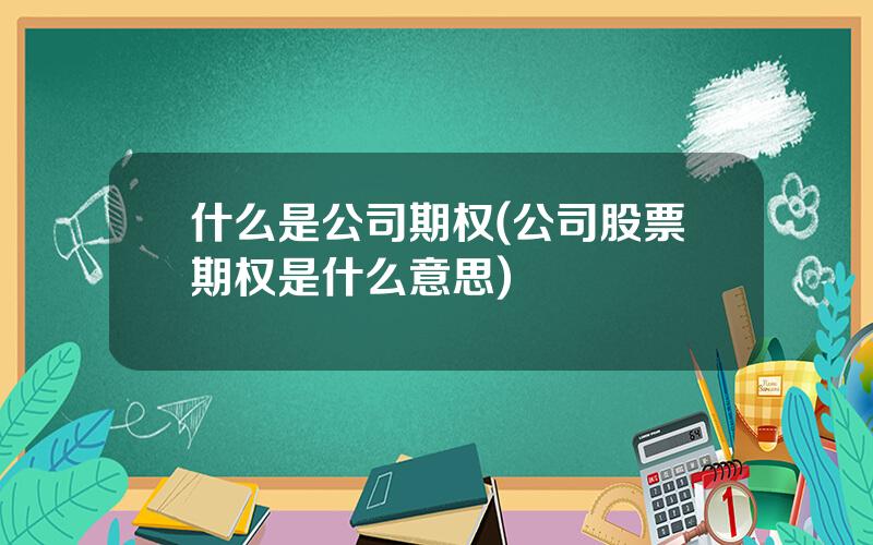 什么是公司期权(公司股票期权是什么意思)