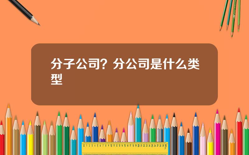 分子公司？分公司是什么类型