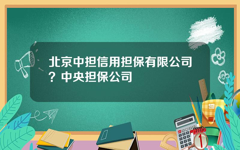 北京中担信用担保有限公司？中央担保公司