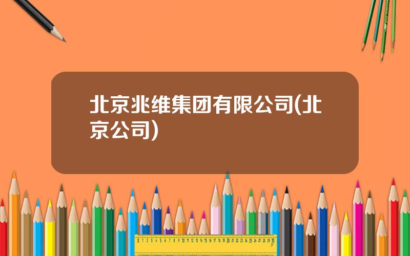 北京兆维集团有限公司(北京公司)