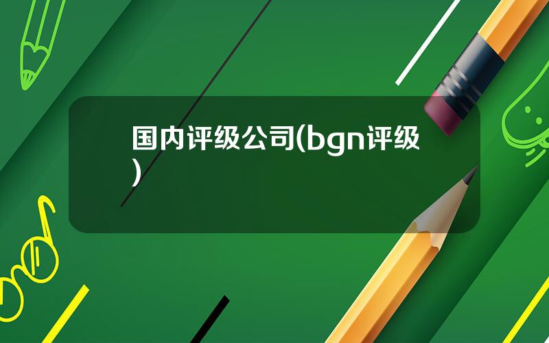 国内评级公司(bgn评级)