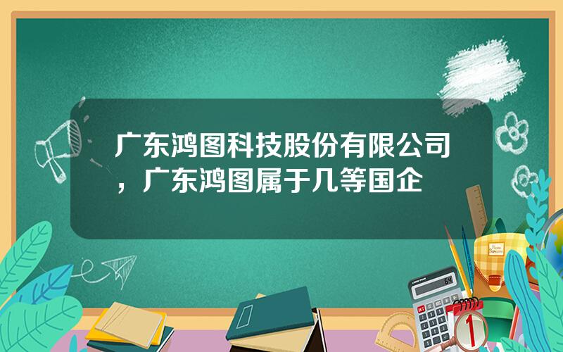 广东鸿图科技股份有限公司，广东鸿图属于几等国企