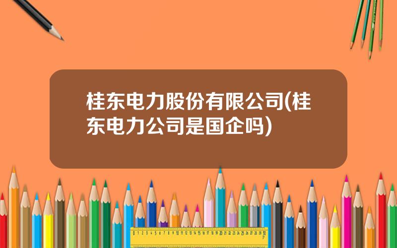 桂东电力股份有限公司(桂东电力公司是国企吗)