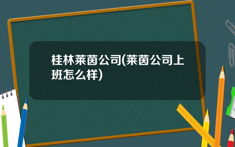 桂林莱茵公司(莱茵公司上班怎么样)