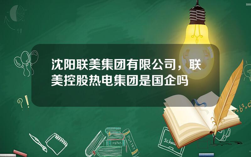 沈阳联美集团有限公司，联美控股热电集团是国企吗